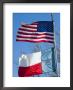 American And Texan Flags, Texas, Usa by Ethel Davies Limited Edition Print