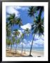 Cabo De Sao Roque, Natal, Rio Grande Do Norte State, Brazil, South America by Sergio Pitamitz Limited Edition Pricing Art Print