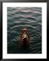 Woman Pouring Water During Morning Puja On Ganges, Varanasi, India by Anthony Plummer Limited Edition Print