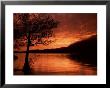 Red Sky At Sunset, Coniston Water, Consiton, Lake District, Cumbria, England, United Kingdom by Pearl Bucknall Limited Edition Print