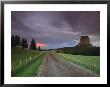 Twilight View Down A Dirt Road Towards Devils Tower by Bill Hatcher Limited Edition Print