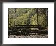 Footbridge Over A Dry Stream In Yosemite by Marc Moritsch Limited Edition Print
