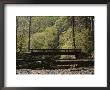 Footbridge Over A Dry Stream In Yosemite by Marc Moritsch Limited Edition Pricing Art Print