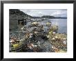 Crab Pots On Shore Of Cornet Bay, Whidbey Island, Washington, Usa by William Sutton Limited Edition Print