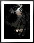 A Fiji Island Sunset by Wolcott Henry Limited Edition Print