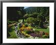 People Strolling Among Flowers Of The Sunken Garden, Butchart Gardens by Todd Gipstein Limited Edition Print