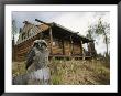 A Hawk Owl Sits On A Stump Near A Log Cabin by Michael S. Quinton Limited Edition Print