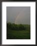 Double Rainbow Over Green Spring Trees by Brian Gordon Green Limited Edition Pricing Art Print