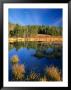 Moon Above Beaver Pond, Uinta Mountains, Wasatch National Forest, Utah, Usa by Scott T. Smith Limited Edition Print