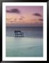 Pool View At Dawn, Lucaya Resort, Grand Bahama Island, Caribbean by Walter Bibikow Limited Edition Print