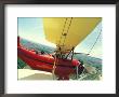 Passenger And Pilot In Biplane Over Tulip Fields, Skagit Valley, Washington, Usa by Stuart Westmoreland Limited Edition Print