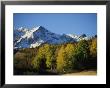 Autumnal View Of Aspen Trees And The Rocky Mountains by Michael S. Lewis Limited Edition Print