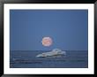 A Lone Iceberg And A Beautiful Moon Rise by Norbert Rosing Limited Edition Print