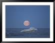A Lone Iceberg And A Beautiful Moon Rise by Norbert Rosing Limited Edition Pricing Art Print