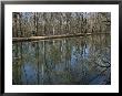 The C And O Canal Reflects Bikers Moving Along The Trail by Stephen St. John Limited Edition Print