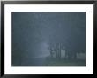 Rain Storm by Brian Gordon Green Limited Edition Pricing Art Print