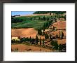 Cypress-Lined Montichiello Road, So Of Pienza, Val D'orcia, Tuscany, Italy by John Elk Iii Limited Edition Print