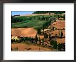 Cypress-Lined Montichiello Road, So Of Pienza, Val D'orcia, Tuscany, Italy by John Elk Iii Limited Edition Pricing Art Print