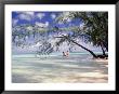 View Of Couple Wading In Water, Cayman Islands by Anne Flinn Powell Limited Edition Print