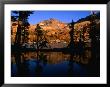 Mountains And Trees Reflecting On Lower Ottoway Lake At Dusk, Yosemite National Park, Usa by Mark & Audrey Gibson Limited Edition Pricing Art Print