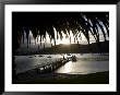 Waikawa Bay, Near Picton, Marlborough Sounds, South Island, New Zealand by David Wall Limited Edition Print