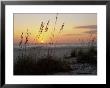 Sunset, Gulf Coast, Longboat Key, Anna Maria Island, Beach, Florida, Usa by Fraser Hall Limited Edition Print