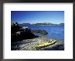 Sea Kayaking Around Mt. Desert Island, Sutton Island, Maine, Usa by Jerry & Marcy Monkman Limited Edition Print