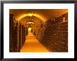 Underground Wine Cellar, Champagne Francois Seconde, Sillery Grand Cru by Per Karlsson Limited Edition Print