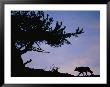 Silhouetted Wolf In Yellowstone National Park by Joel Sartore Limited Edition Print