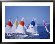 Boats Set Up For Race, Fl by Jeff Greenberg Limited Edition Print