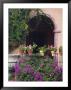 Bougainvillea And Geranium Pots On Wall In Courtyard, San Miguel De Allende, Mexico by Nancy Rotenberg Limited Edition Print