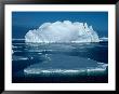 Ice Floes (Free Floating Pieces Of Ice) And Iceberg, Antarctica by Chester Jonathan Limited Edition Print