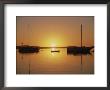 Sailboats Silhouetted At Sunset On Morro Bay by Rich Reid Limited Edition Print