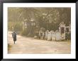 Woman Walking In Sea Mist, Bathsheba, Barbados by Walter Bibikow Limited Edition Pricing Art Print