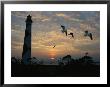 Cape Lookout Lighthouse Silhouetted Against The Sky by Stephen Alvarez Limited Edition Print