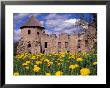 Dandelions Surround Cesis Castle, Latvia by Janis Miglavs Limited Edition Print