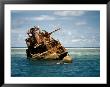 Shipwreck On Tubbataha Reef by Wolcott Henry Limited Edition Print
