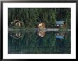 Lake Ohara Lodge Cabins Reflected On The Surface Of Lake Ohara by Michael Melford Limited Edition Print