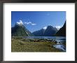Mitre Peak On Milford Sound With Driftwood On The Shore In Foreground by Todd Gipstein Limited Edition Print