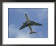 An Airplane Arrives At Ronald W. Reagan National Airport by Joel Sartore Limited Edition Pricing Art Print