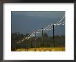 Power Lines By Road Side Reflecting Evening Light, New Zealand by Tobias Bernhard Limited Edition Pricing Art Print