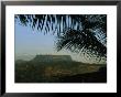 Palm Fronds Frame A Distant Flat-Topped Mountain In Cuba by Steve Winter Limited Edition Pricing Art Print