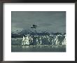 A Floatplane Traverses Columbia Glacier And Prince William Sound by George F. Mobley Limited Edition Print