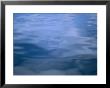 Gently Rippled Blue Water by Heather Perry Limited Edition Print