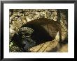 A Stone Bridge Spans A Gentle Clear Creek by Raymond Gehman Limited Edition Print