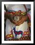 A Traditionally Dressed Huichol Man Holds A Hikuli Plant, Or Peyote by Maria Stenzel Limited Edition Print
