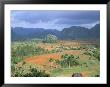 View Over Vinales Valley Towards Tobacco Plantations And Mogotes, Vinales, Cuba by Lee Frost Limited Edition Print