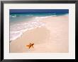 Gulf Island National Seashore, Santa Rosa Island, Florida by Maresa Pryor Limited Edition Print