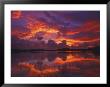 Dawn At Nine Mile Pond, Everglades National Park, Florida, Usa by Rob Tilley Limited Edition Print