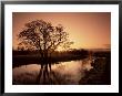 Sunrise Over The River Wey, Send, Surrey, England, United Kingdom by Roy Rainford Limited Edition Print